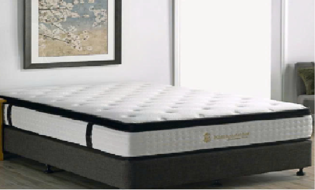 asdadadsdasdasdasdasas